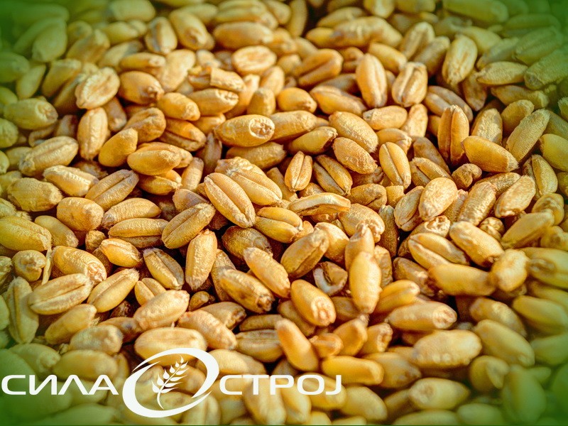 oprema za preciscavanje i susenje zitarica